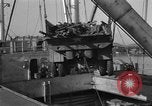 Image of 1st Marine Division North Korea, 1950, second 59 stock footage video 65675069379