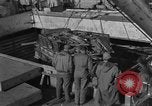 Image of 1st Marine Division North Korea, 1950, second 61 stock footage video 65675069379