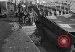 Image of 1st Marine Division North Korea, 1950, second 19 stock footage video 65675069380