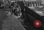 Image of 1st Marine Division North Korea, 1950, second 24 stock footage video 65675069380