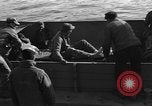 Image of 1st Marine Division North Korea, 1950, second 54 stock footage video 65675069380