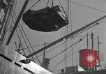 Image of 1st Marine Division North Korea, 1950, second 22 stock footage video 65675069382
