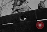 Image of 1st Marine Division North Korea, 1950, second 53 stock footage video 65675069382