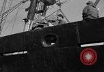 Image of 1st Marine Division North Korea, 1950, second 54 stock footage video 65675069382