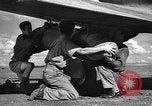 Standbild Royal Air Force 33 Squadron Tunesien Nordafrika, 1942, aus Sekunde 45 historischem Filmmaterial Videoclip 65675069410