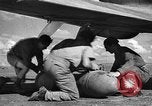 Standbild Royal Air Force 33 Squadron Tunesien Nordafrika, 1942, aus Sekunde 49 historischem Filmmaterial Videoclip 65675069410