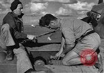 Image of Royal Air Force 33 Squadron Tunisia North Africa, 1942, second 11 stock footage video 65675069412