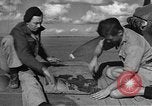 Image of Royal Air Force 33 Squadron Tunisia North Africa, 1942, second 14 stock footage video 65675069412