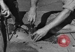 Image of Royal Air Force 33 Squadron Tunisia North Africa, 1942, second 18 stock footage video 65675069412