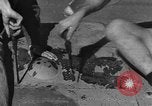 Image of Royal Air Force 33 Squadron Tunisia North Africa, 1942, second 20 stock footage video 65675069412