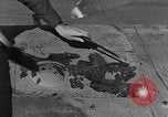 Image of Royal Air Force 33 Squadron Tunisia North Africa, 1942, second 22 stock footage video 65675069412