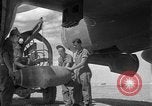 Image P-38 mission de bombardement Sicile Italie, 1943, de la seconde 29 séquences d'archives historiques vidéo 65675069416