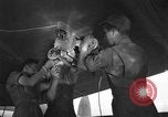 Image P-38 mission de bombardement Sicile Italie, 1943, de la seconde 61 séquences d'archives historiques vidéo 65675069416