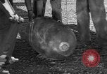 Image P-38 mission de bombardement Sicile Italie, 1943, de la seconde 29 séquences d'archives historiques vidéo 65675069417