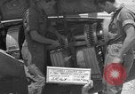 Standbild P-38 Bombardierung Mission Sizilien Italien, 1943, aus Sekunde 45 historischem Filmmaterial Videoclip 65675069418