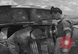 Standbild P-38 Bombardierung Mission Sizilien Italien, 1943, aus Sekunde 53 historischem Filmmaterial Videoclip 65675069418