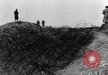 Standbild Strand Hindernisse Vereinigtes Königreich, 1942, aus Sekunde 11 historischem Filmmaterial Videoclip 65675069426