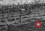 Immagine di Ostacoli di spiaggia Regno Unito, 1942, secondo 37 filmato di repertorio 65675069428