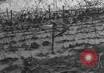 Immagine di Ostacoli di spiaggia Regno Unito, 1942, secondo 39 filmato di repertorio 65675069428
