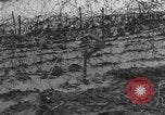 Immagine di Ostacoli di spiaggia Regno Unito, 1942, secondo 40 filmato di repertorio 65675069428