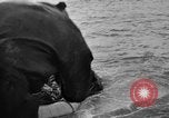 Image of South Goodwin sinks Atlantic Ocean, 1954, second 22 stock footage video 65675069432