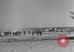Immagine di Soldati statunitensi Il Nord Africa, 1942, secondo 36 filmato di repertorio 65675069433