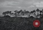 Image of tank battle France, 1944, second 44 stock footage video 65675069436