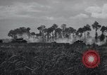 Image of tank battle France, 1944, second 45 stock footage video 65675069436