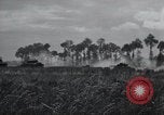 Image of tank battle France, 1944, second 46 stock footage video 65675069436