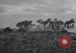 Image of tank battle France, 1944, second 51 stock footage video 65675069436