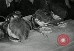 Image pie concours de manger New York United States USA, 1935, de la seconde 35 séquences d'archives historiques vidéo 65675069441