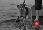 Immagine di Pioggia pesante Long Beach California USA, 1935, secondo 34 filmato di repertorio 65675069442