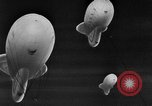 Image of barrage balloon United States USA, 1943, second 4 stock footage video 65675069448