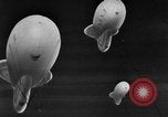 Image of barrage balloon United States USA, 1943, second 8 stock footage video 65675069448