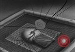 Image of barrage balloon United States USA, 1943, second 36 stock footage video 65675069449