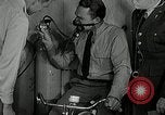 Immagine di P-38 Fulmine Burbank California USA, 1941, secondo 17 filmato di repertorio 65675069461