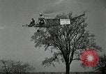 Image Igor Sikorsky Record du monde VS-300 Stratford Connecticut USA, 1941, de la seconde 17 séquences d'archives historiques vidéo 65675069462