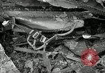 Immagine di C-46 Crash Commando Elizabeth New Jersey USA, 1951, secondo 57 filmato di repertorio 65675069464