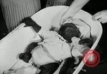 Immagine di Baby gorilla Anacortes Washington USA, 1951, secondo 8 filmato di repertorio 65675069469