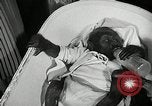 Immagine di Baby gorilla Anacortes Washington USA, 1951, secondo 17 filmato di repertorio 65675069469