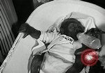 Immagine di Baby gorilla Anacortes Washington USA, 1951, secondo 18 filmato di repertorio 65675069469