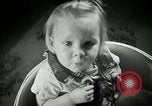 Immagine di Baby gorilla Anacortes Washington USA, 1951, secondo 22 filmato di repertorio 65675069469