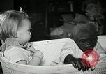Immagine di Baby gorilla Anacortes Washington USA, 1951, secondo 28 filmato di repertorio 65675069469