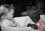 Immagine di Baby gorilla Anacortes Washington USA, 1951, secondo 29 filmato di repertorio 65675069469