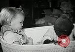 Immagine di Baby gorilla Anacortes Washington USA, 1951, secondo 30 filmato di repertorio 65675069469