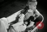 Immagine di Baby gorilla Anacortes Washington USA, 1951, secondo 34 filmato di repertorio 65675069469