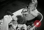 Immagine di Baby gorilla Anacortes Washington USA, 1951, secondo 36 filmato di repertorio 65675069469
