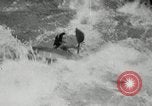 Immagine di Canoisti e kayakers Austria, 1954, secondo 40 filmato di repertorio 65675069476