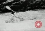 Immagine di Canoisti e kayakers Austria, 1954, secondo 52 filmato di repertorio 65675069476