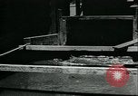 Standbild Bewässerung land San Joaquin Valley California USA, 1918, aus Sekunde 24 historischem Filmmaterial Videoclip 65675069479